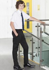 Landau Forte Academy School Slimbridge Trouser Mens (SlimFit)
