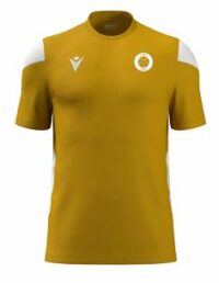 JJFC Home Shirt Snr