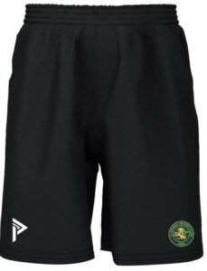 Aldridge CC Training Short Senior