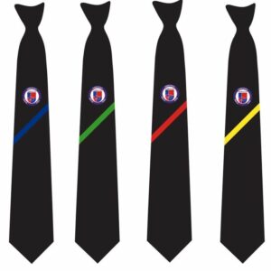 Landau Forte Academy School Tie